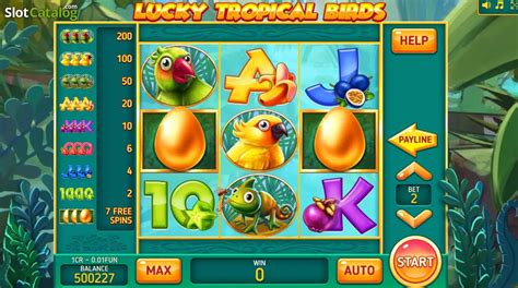 Slot Lucky Tropical Birds 3x3