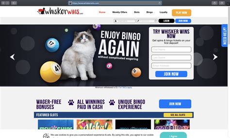 Whisker wins casino review
